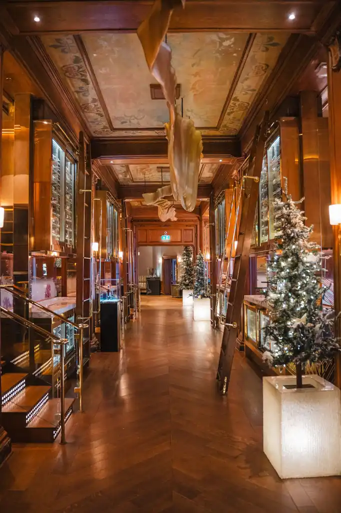 Luxurious spa hallway at Pineforgecreative